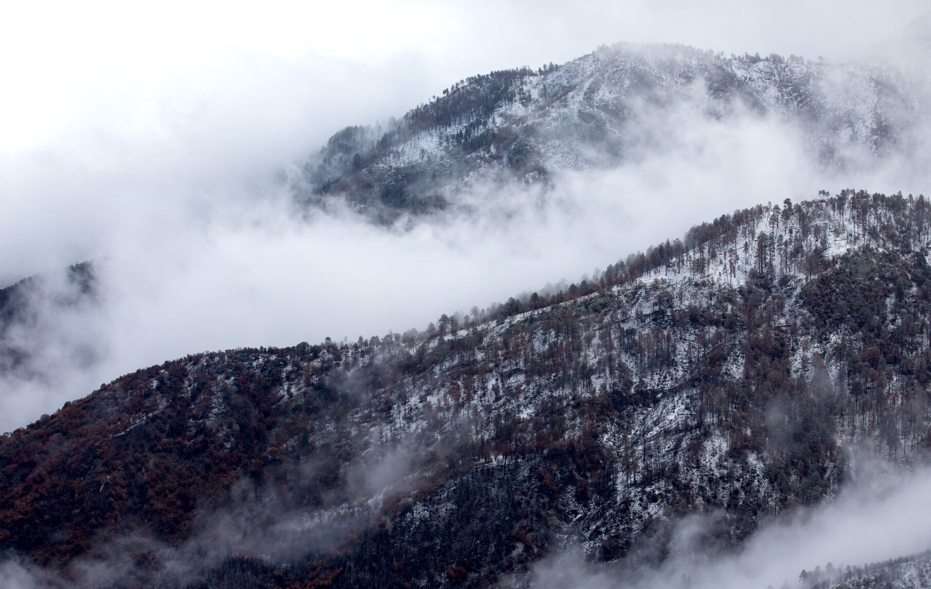 Santa Catalina Moutnains